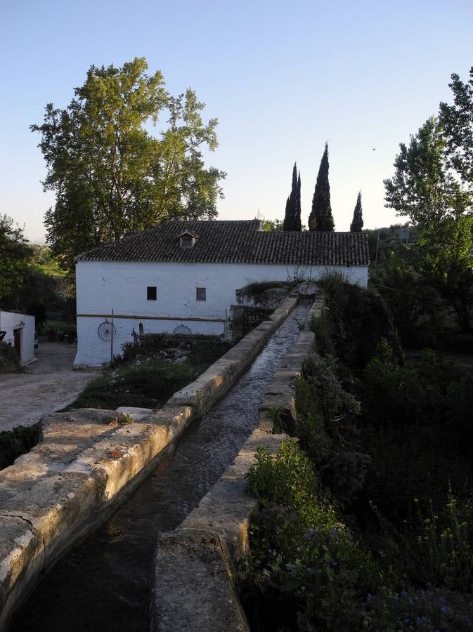 Molino de la Torre, en Alomartes.