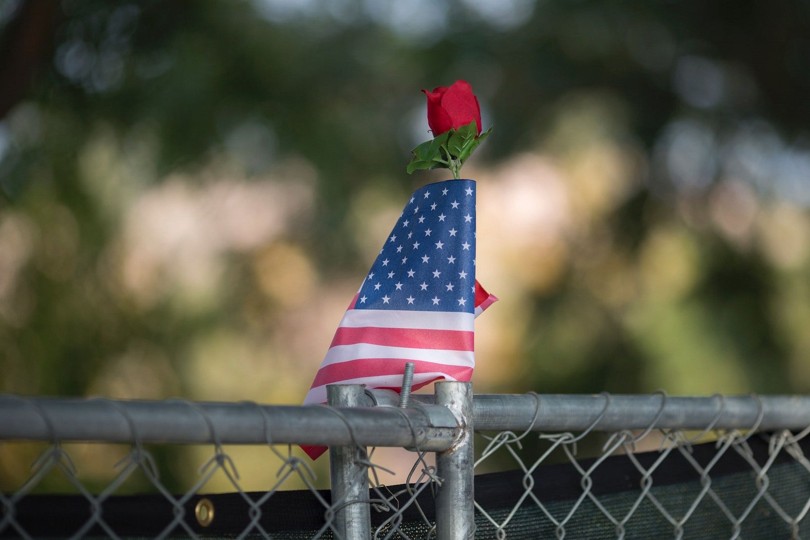 Una rosa encima de una valla que rodea el perímetro del Centro Regional del Interior, el sitio de la masacre por sospecha Syed Farook y Tashfeen Malik a principios de este mes, en San Bernardino, California.