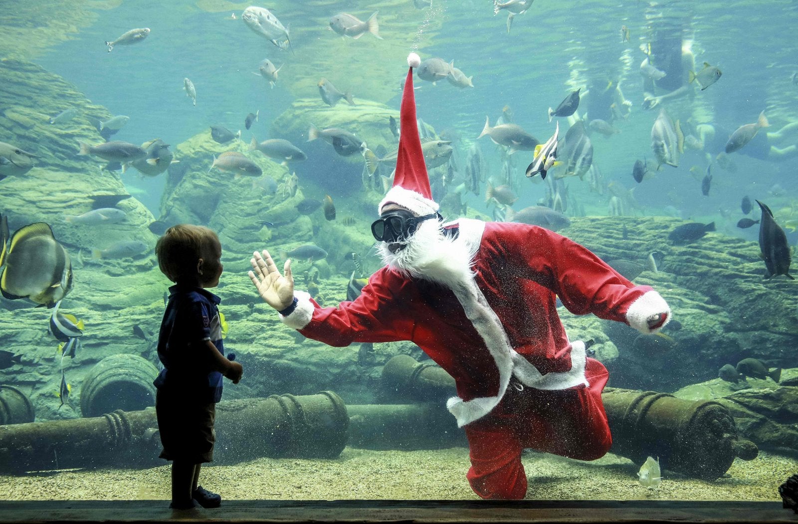 Un buzo vestido como Papá Noel saluda a un niño durante un espectáculo antes de Navidad en el mayor parque temático marino de África.