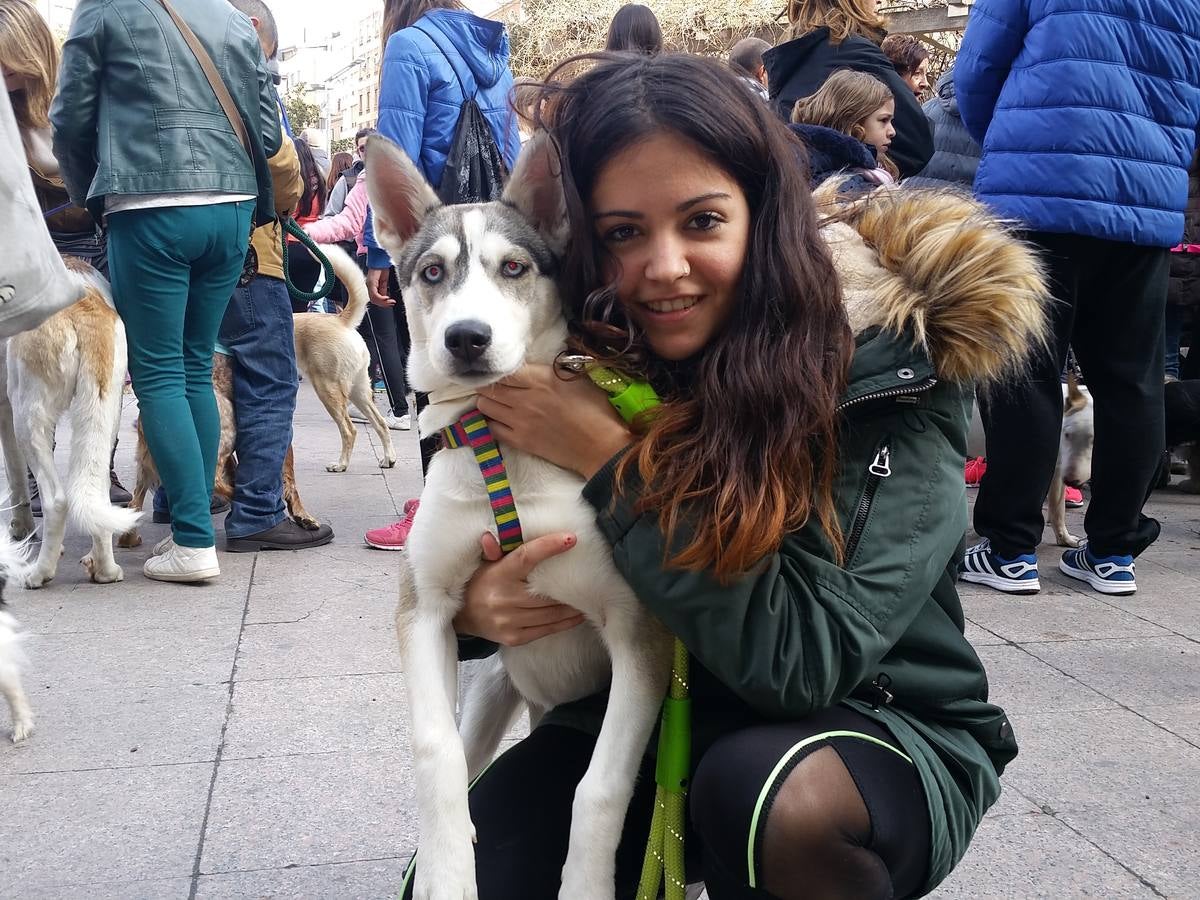 Más de 550 perros participan en la I Marcha Perrestre en defensa de la adopción