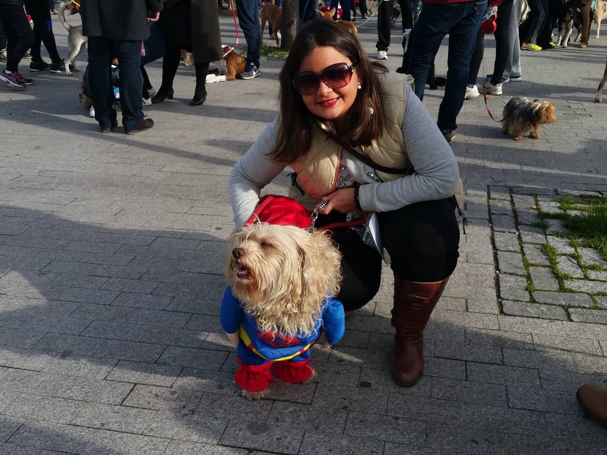 Más de 550 perros participan en la I Marcha Perrestre en defensa de la adopción