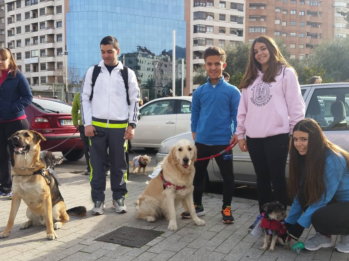 Más de 550 perros participan en la I Marcha Perrestre en defensa de la adopción