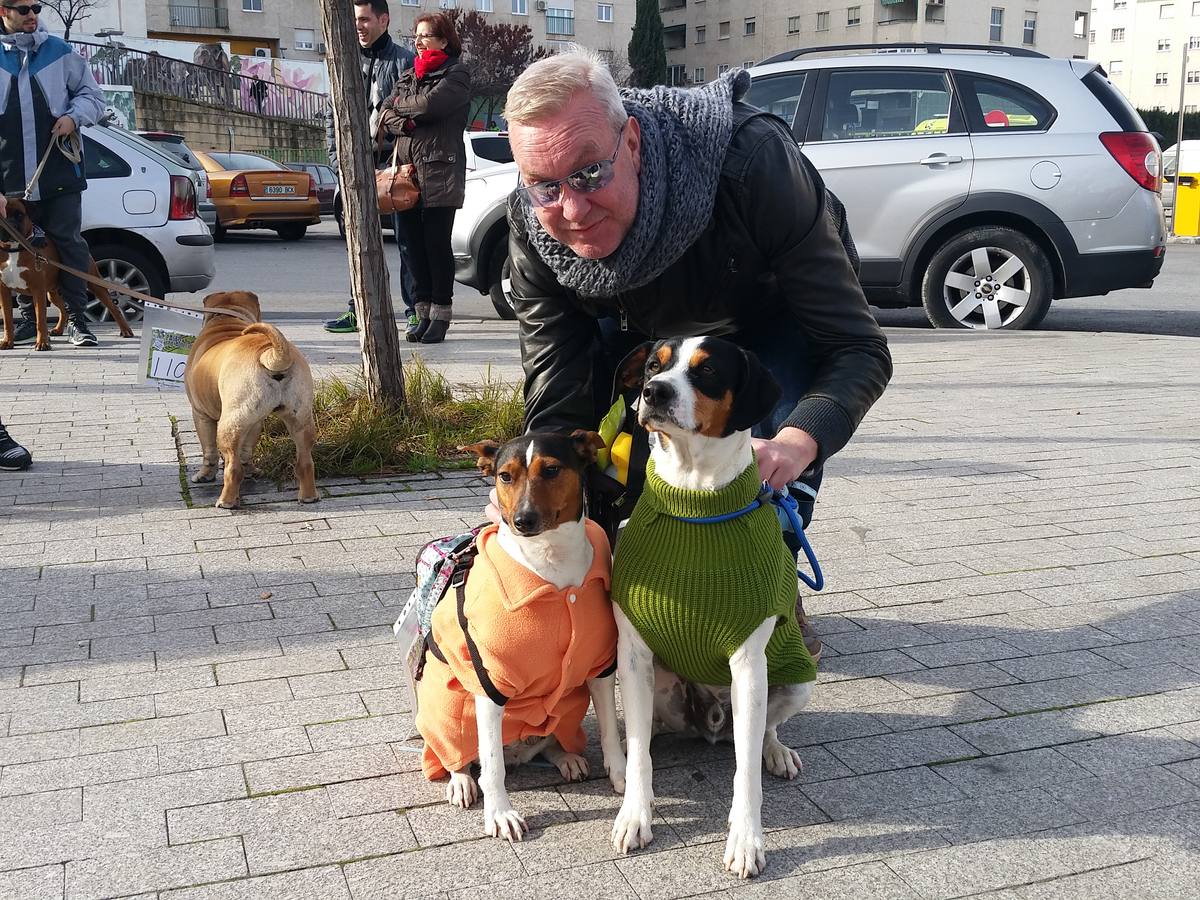 Más de 550 perros participan en la I Marcha Perrestre en defensa de la adopción