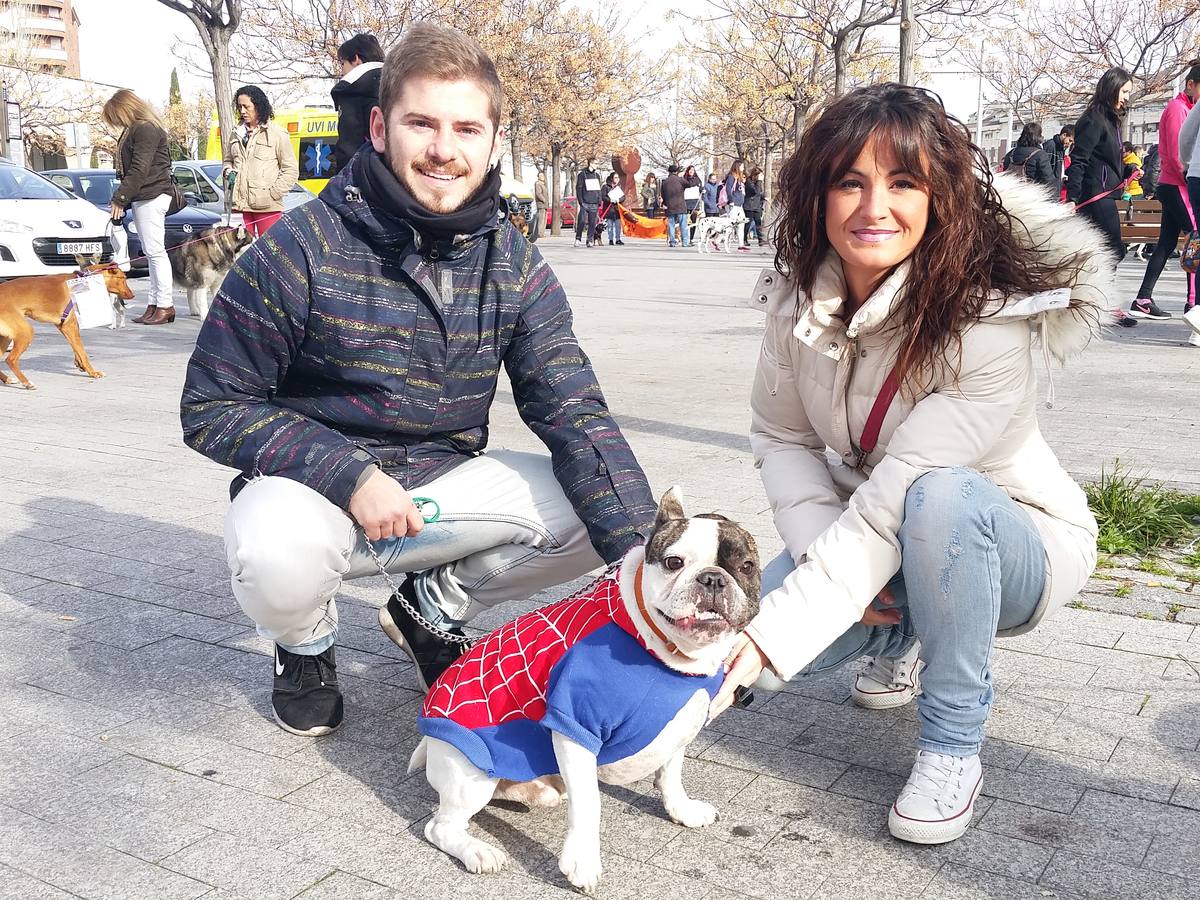 Más de 550 perros participan en la I Marcha Perrestre en defensa de la adopción