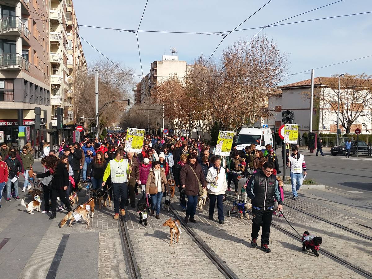 Más de 550 perros participan en la I Marcha Perrestre en defensa de la adopción