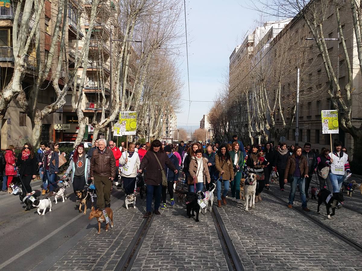 Más de 550 perros participan en la I Marcha Perrestre en defensa de la adopción