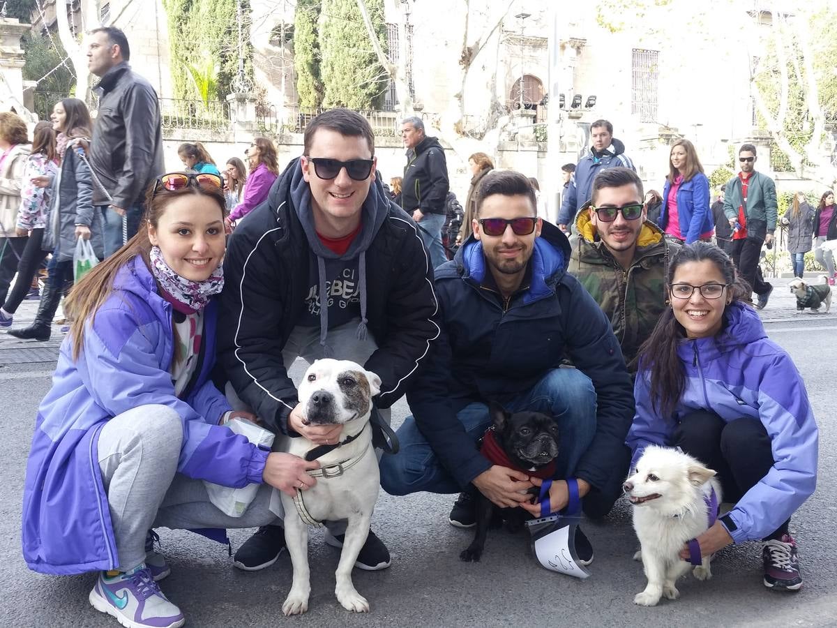 Más de 550 perros participan en la I Marcha Perrestre en defensa de la adopción