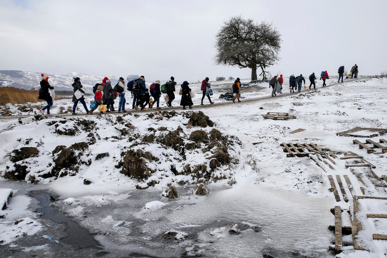 Inmigrantes a pie a través de un campo congelado después de cruzar la frontera de Macedonia, cerca del pueblo de Miratovac, Serbia.