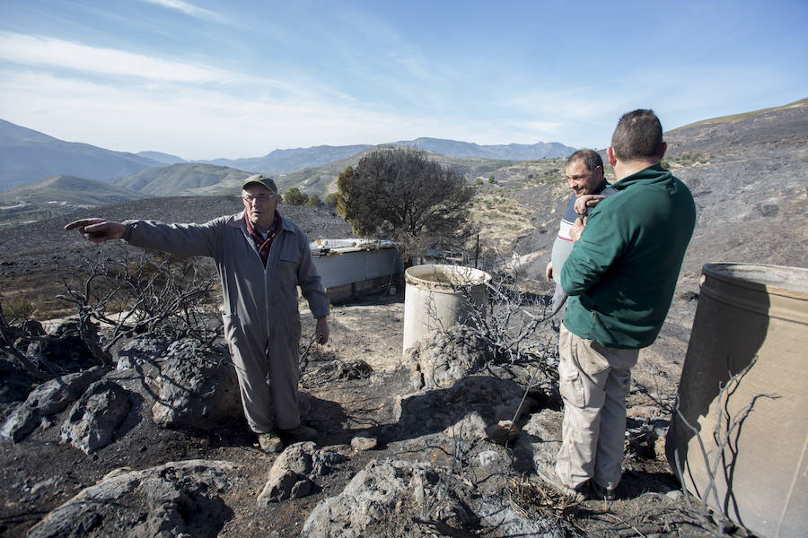 Desolación en la Alpujarra