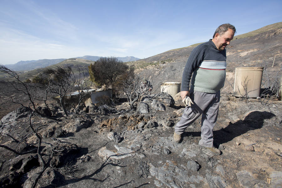 Desolación en la Alpujarra