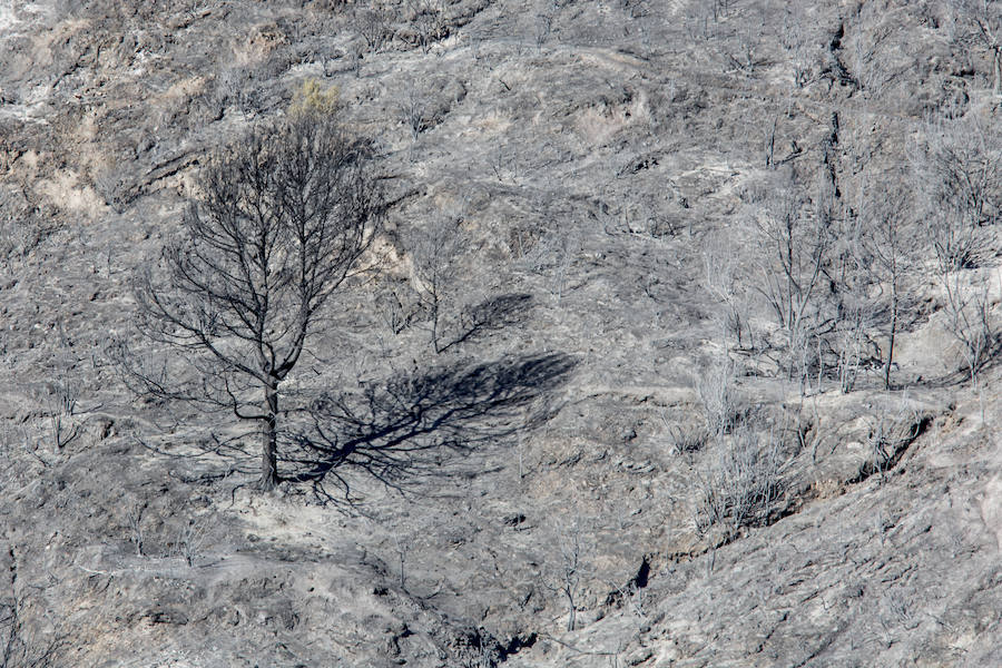 Desolación en la Alpujarra