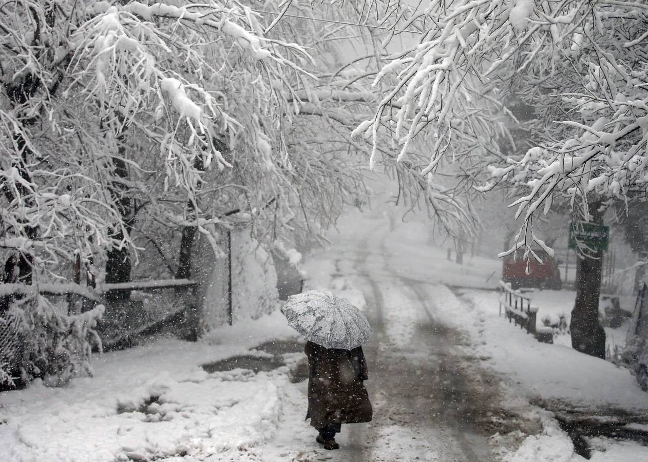 Un hombre que lleva un paraguas camina bajo los árboles cubiertos de nieve durante las nevadas en la ciudad Tangmarg en la región de Cachemira.