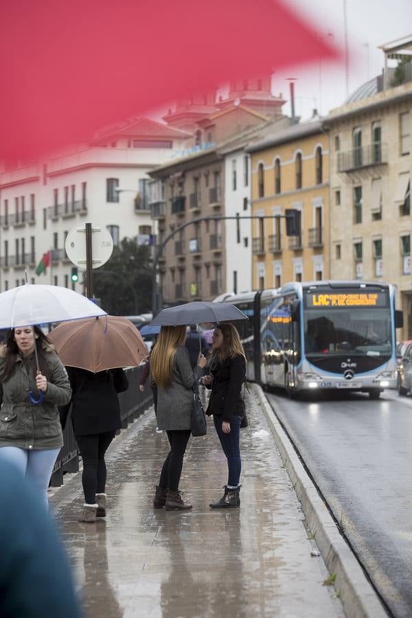 Viernes de lluvia fina en Granada