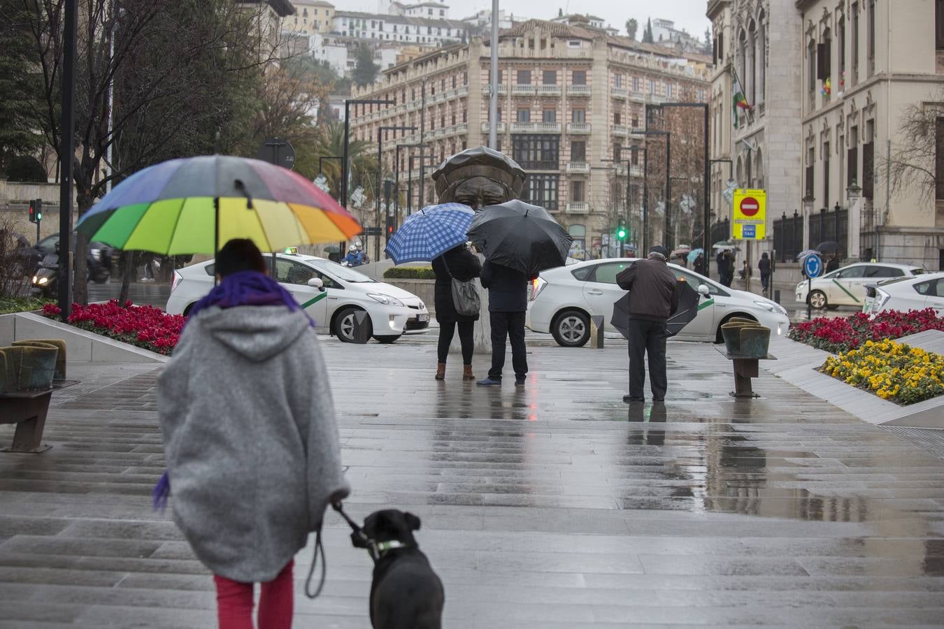 Viernes de lluvia fina en Granada