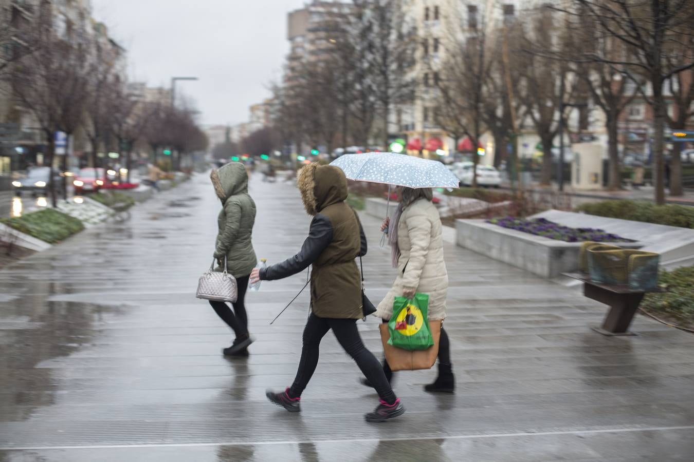 Viernes de lluvia fina en Granada