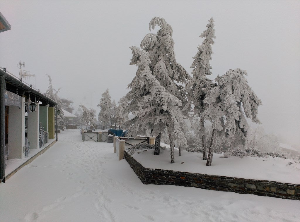 Padro Llano, ALEJANDRO MOLINA