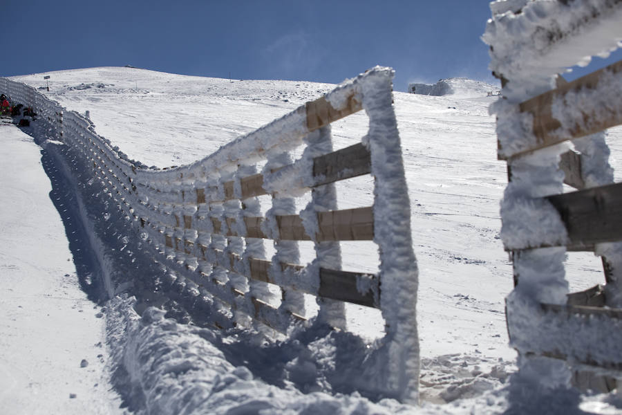 Fin de semana grande en Sierra Nevada