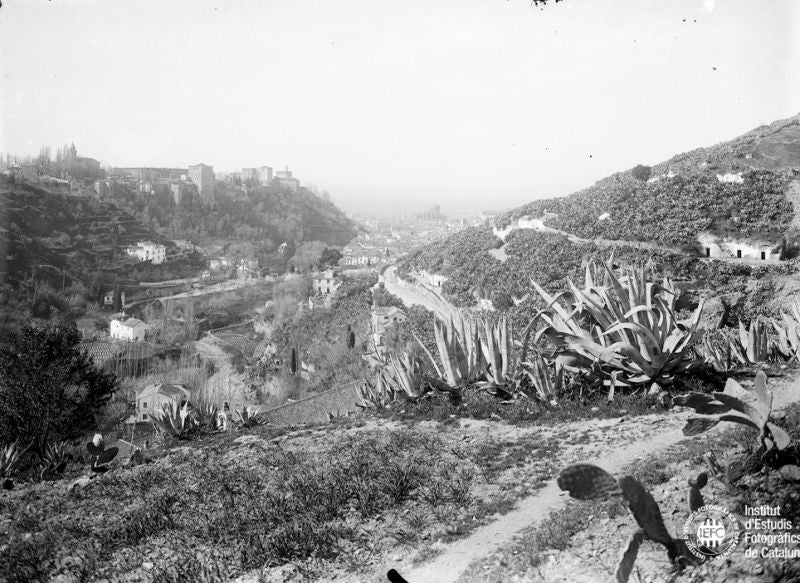 Granada en la Colección Thomas