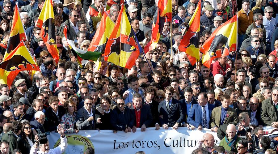 La manifestación pro taurina, en imágenes