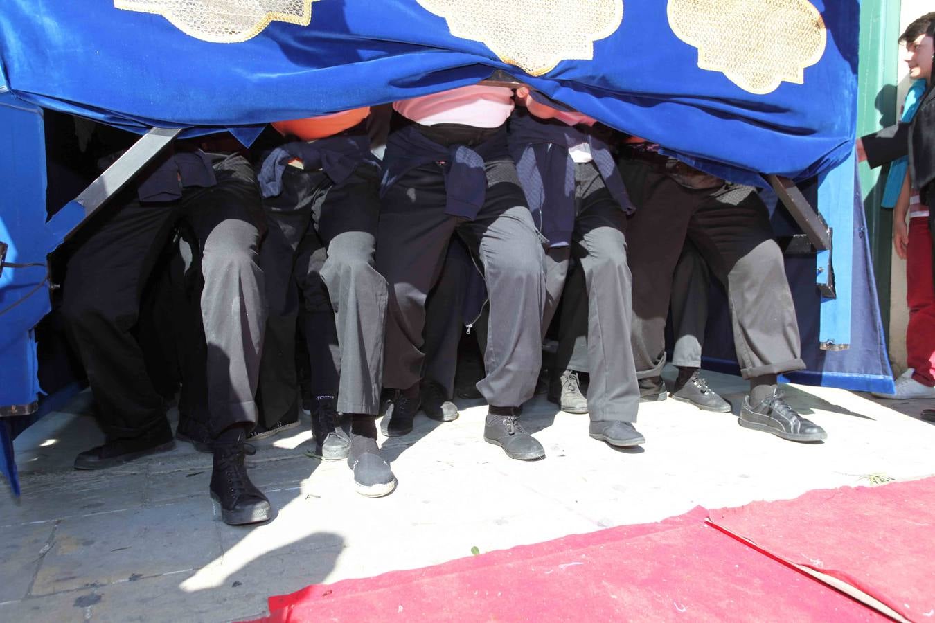 &#039;La Borriquilla&#039; se lució rodeada de luz