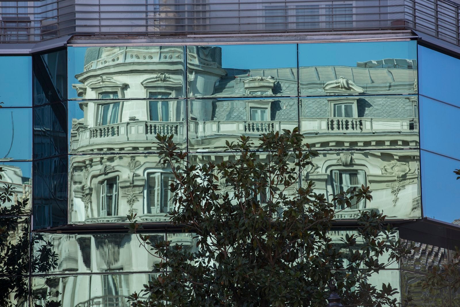 Isabel y Colón, ante el espejo