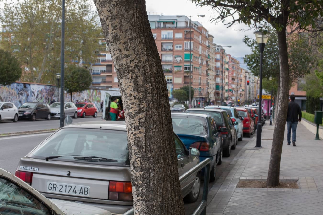 El Camino de Ronda quiere volver a ser verde