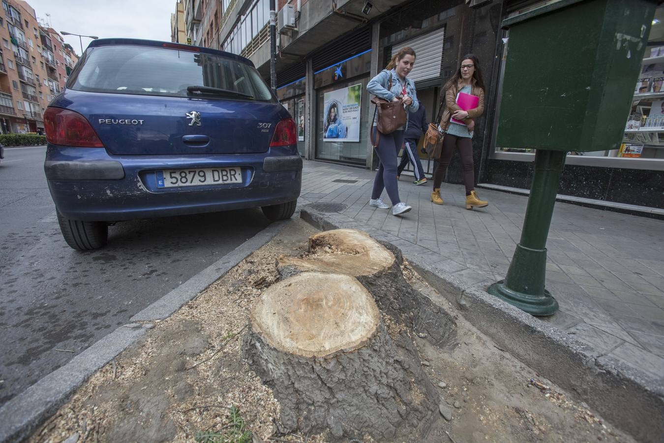 El Camino de Ronda quiere volver a ser verde
