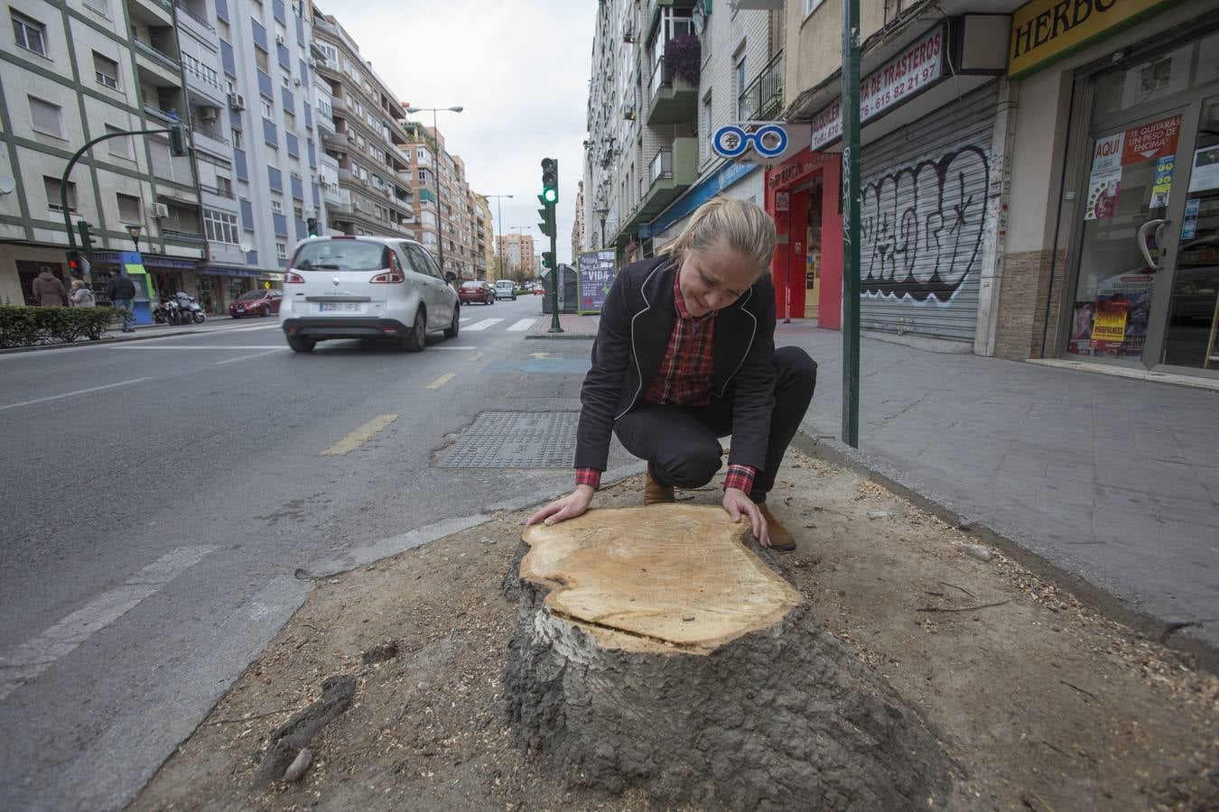 El Camino de Ronda quiere volver a ser verde