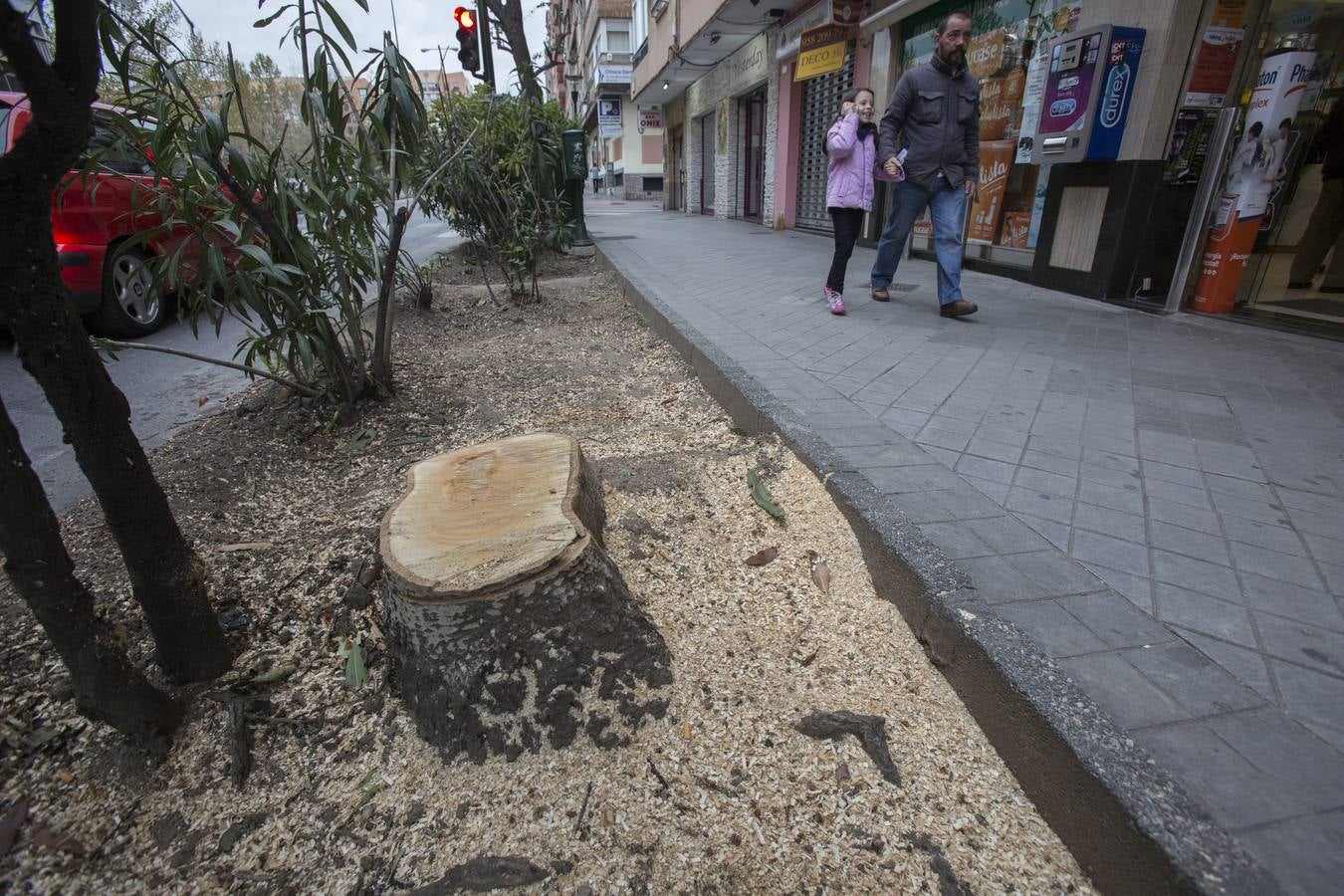El Camino de Ronda quiere volver a ser verde