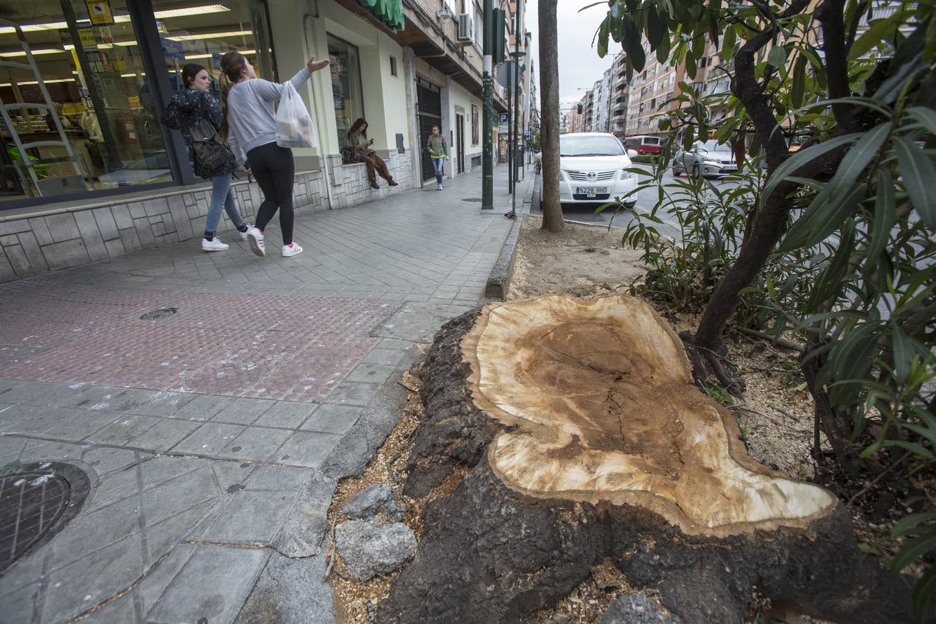 El Camino de Ronda quiere volver a ser verde