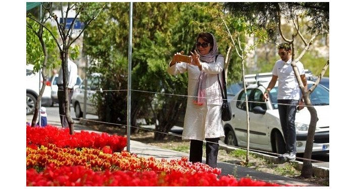 Planta cada año 30.000 tulipanes para recordar a su madre fallecida