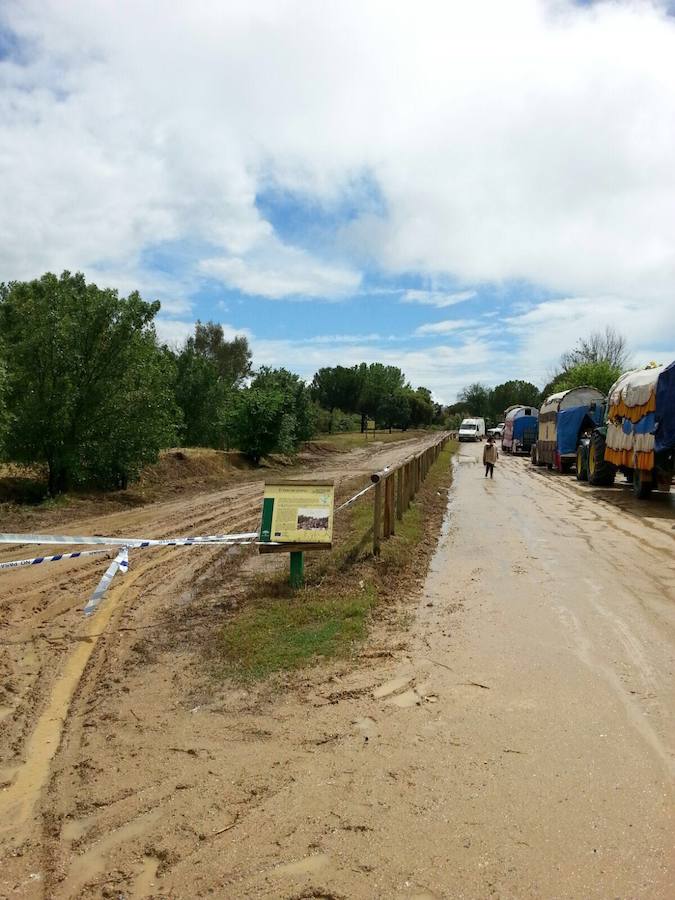 Al Rocío desde Jaén con la lluvia como compañía