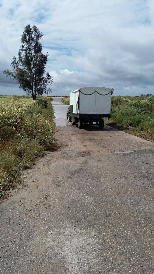 Al Rocío desde Jaén con la lluvia como compañía