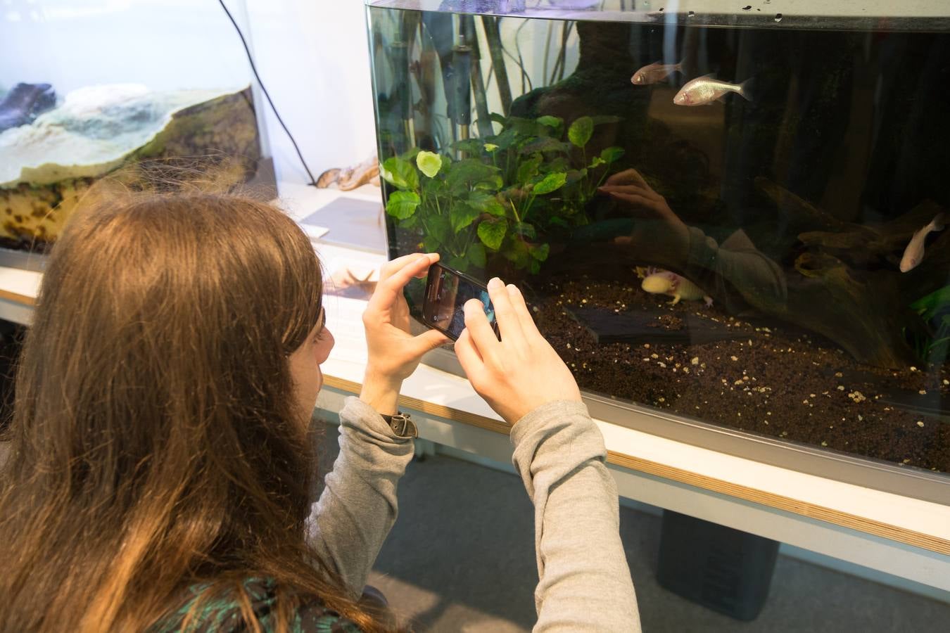 Ventiún años y siempre hacia arriba