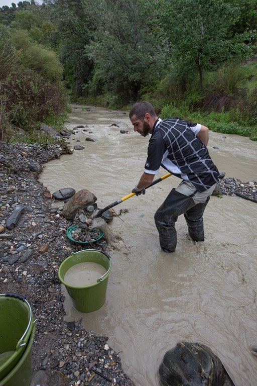 ¿Cómo se busca oro en el río Genil?