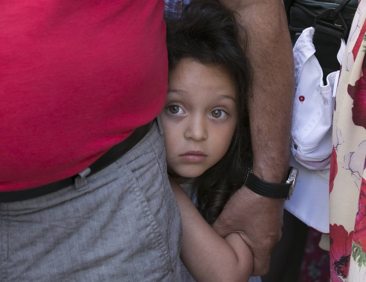 La Tarasca se pone flamenca