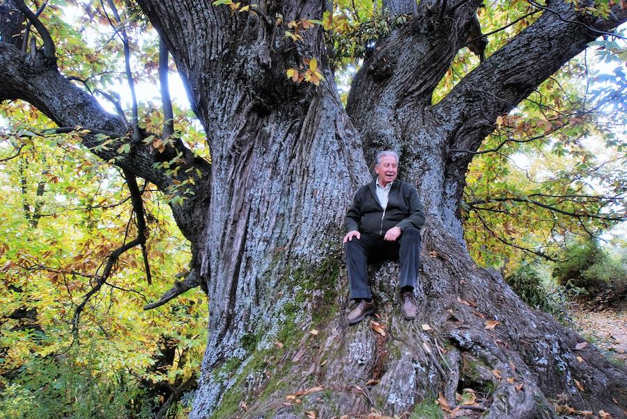 La Unidad de Música de la Academia General Militar ofrece un concierto en Pórtugos