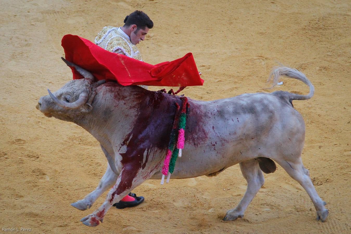 ...Y David volvió a ser el gran &#039;Fandi&#039;