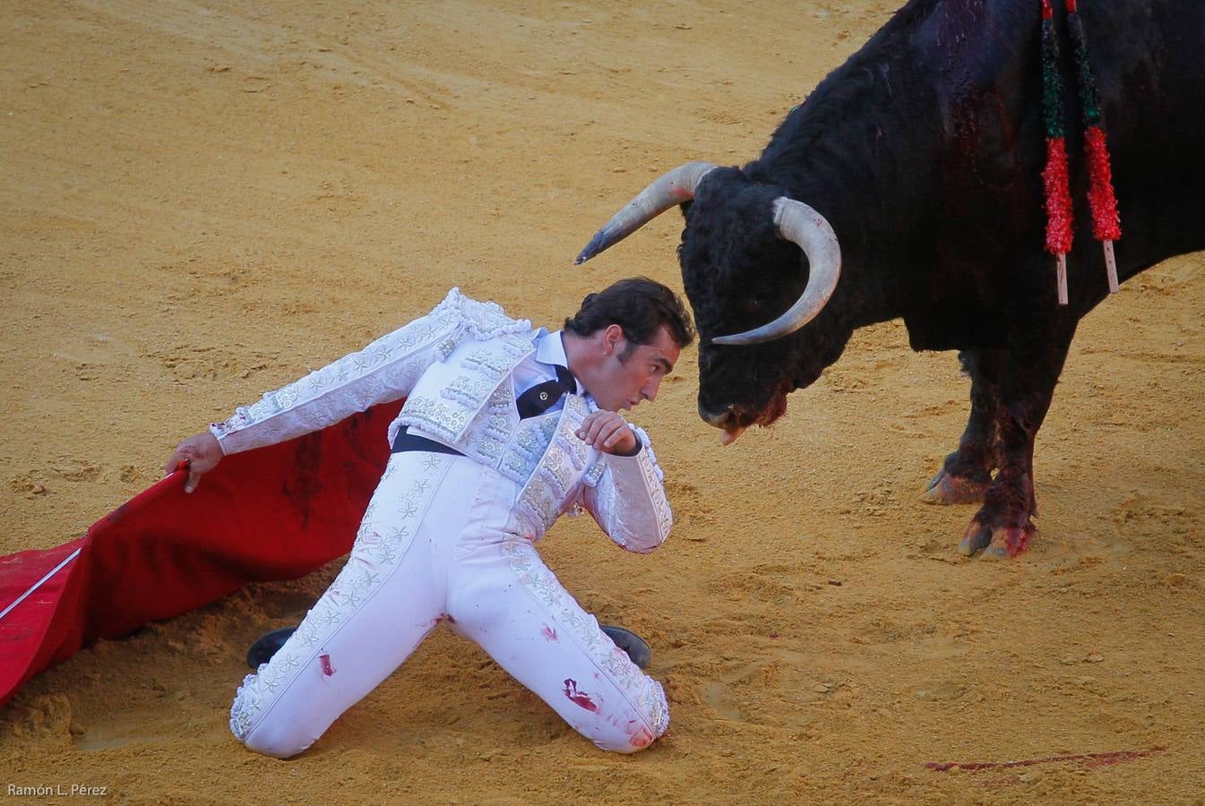 ...Y David volvió a ser el gran &#039;Fandi&#039;