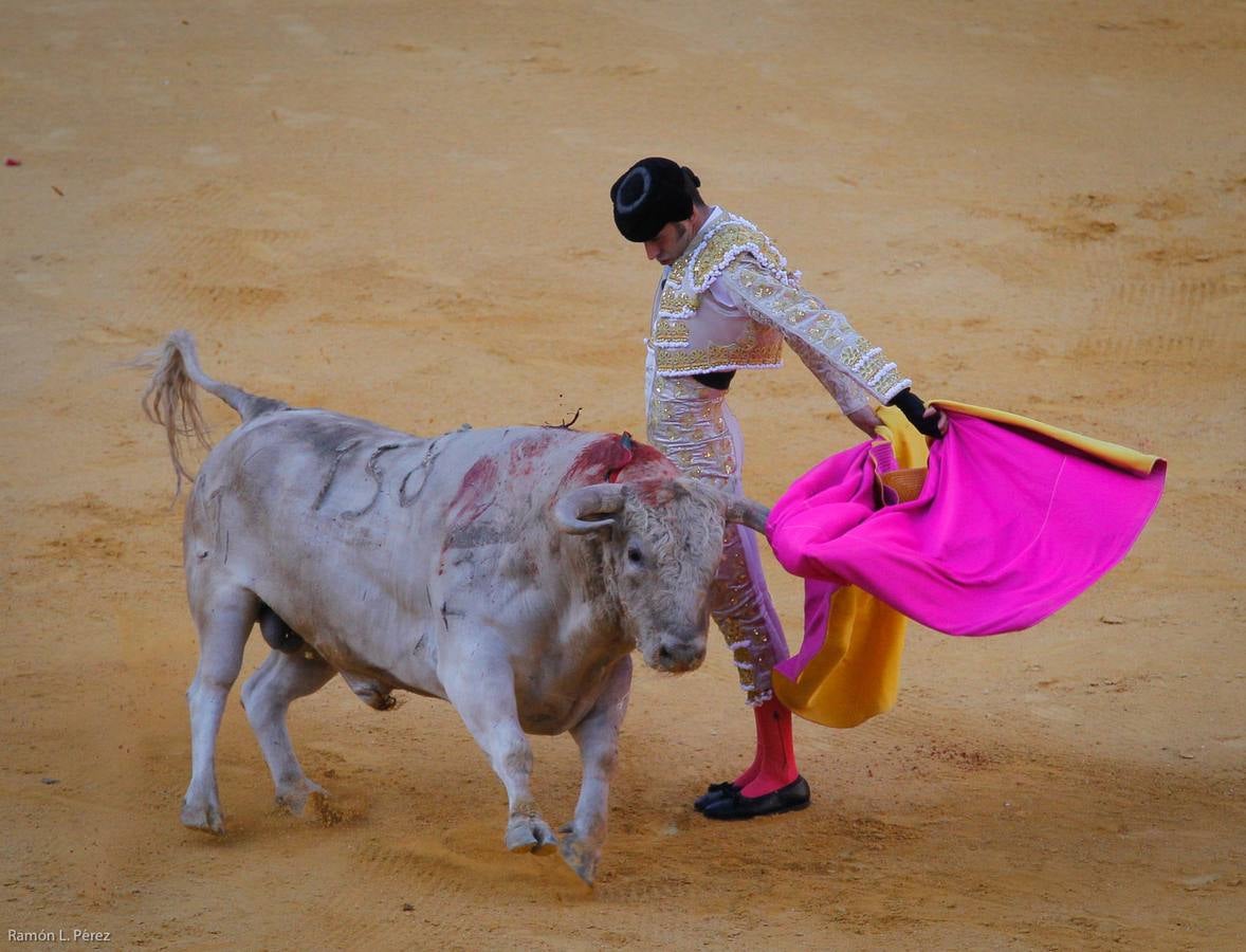 ...Y David volvió a ser el gran &#039;Fandi&#039;