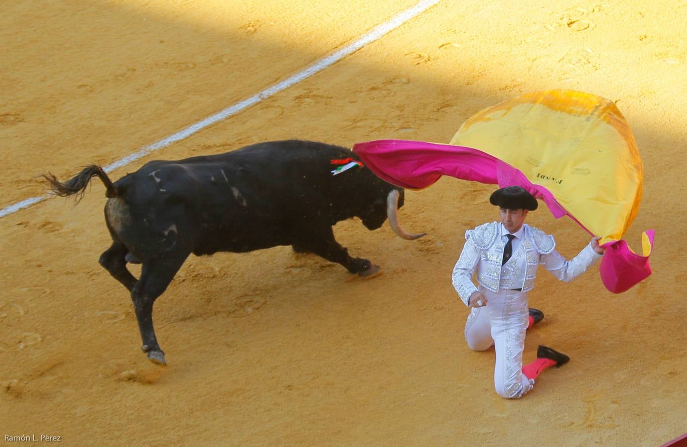 ...Y David volvió a ser el gran &#039;Fandi&#039;