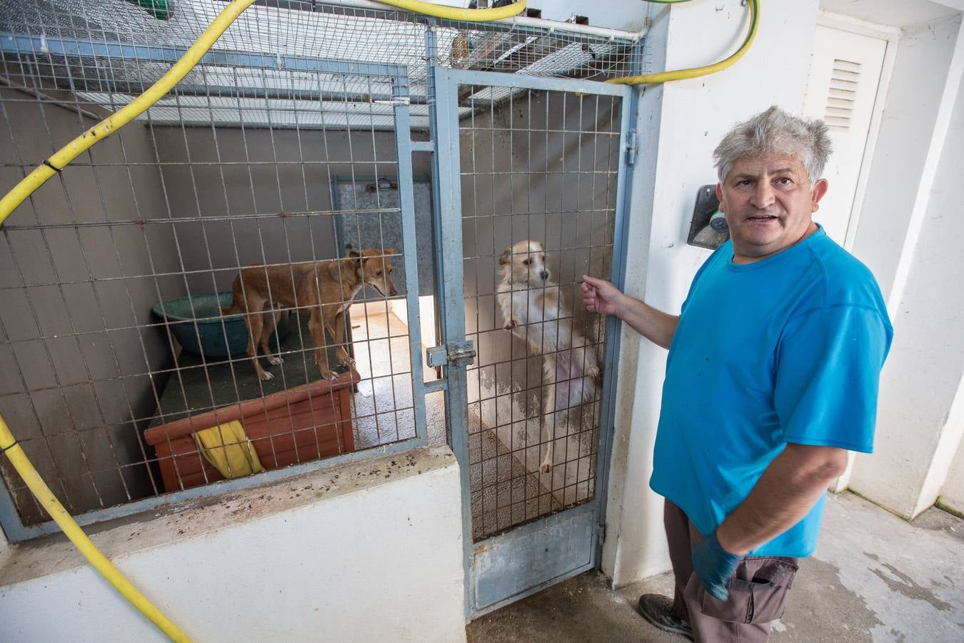 La Protectora de Animales de Granada cierra por primera vez en 70 años
