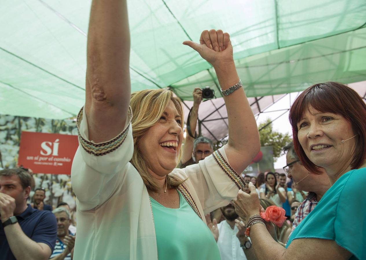 «Se están emborrachando con encuestas»