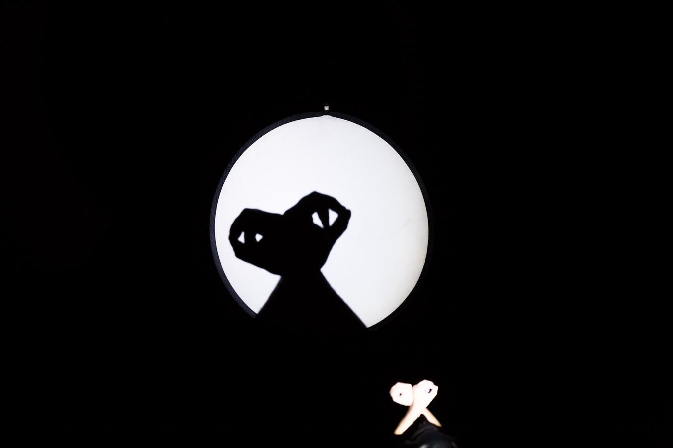 Galardones a la mejor ilusión