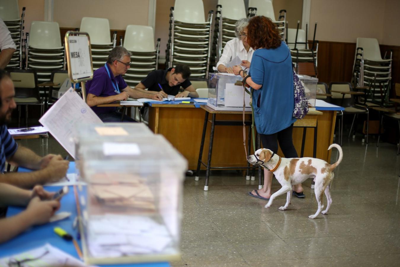 Las fotografías clave de la jornada electoral en Granada