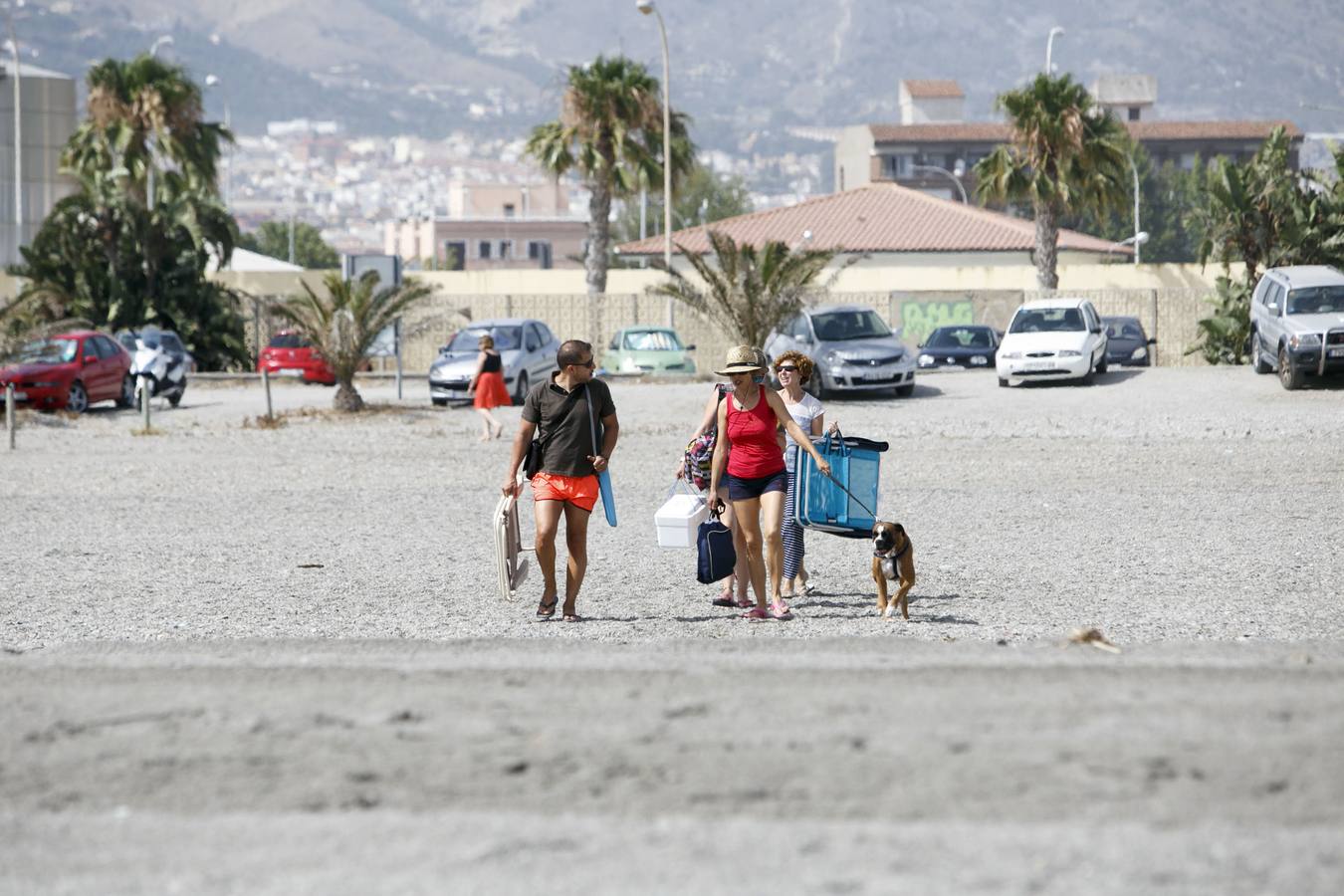 Los perros vuelven a la playa de El Cable de Motril