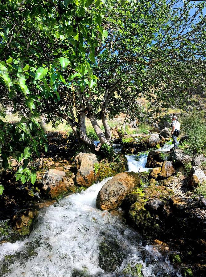El río Frío nace en un impresionante paraje en el que el agua mana del interior de las rocas calcáreas que encierran el acuífero de Loja.