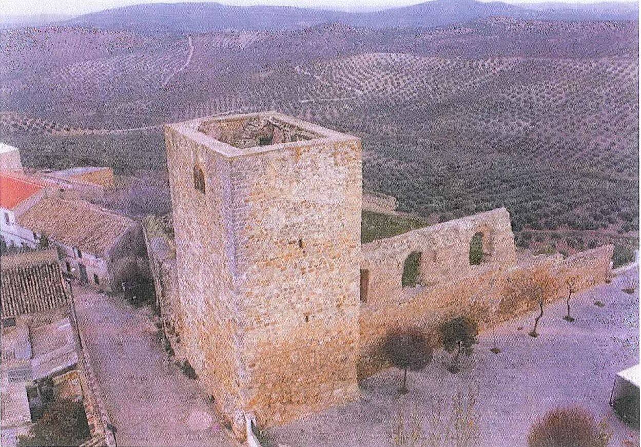 Patrimonio en estado crítico
