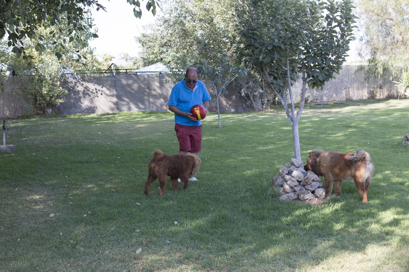 De vacaciones perrunas