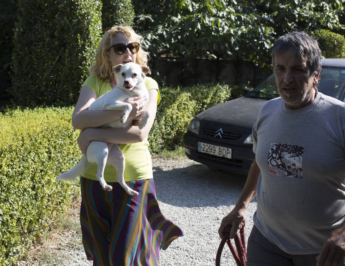 De vacaciones perrunas